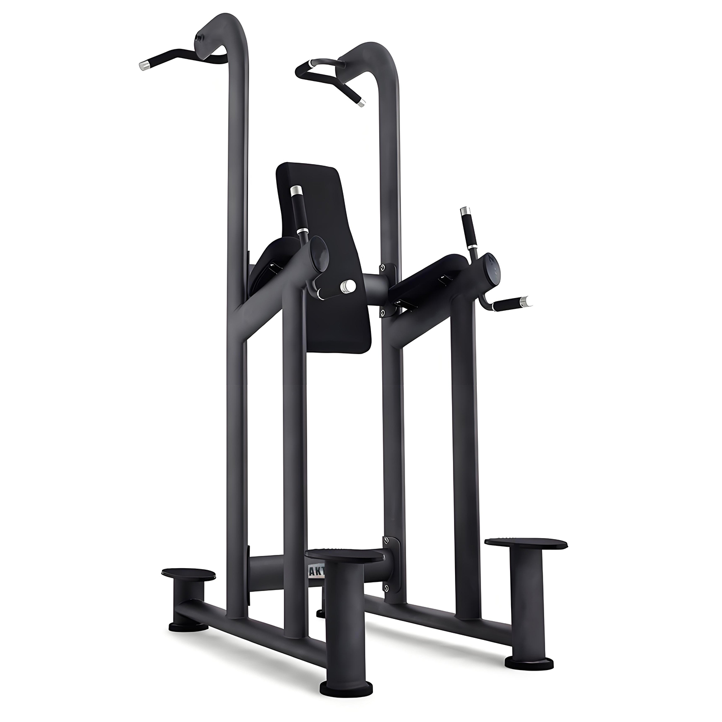 AKO Dip/Chin Up Station